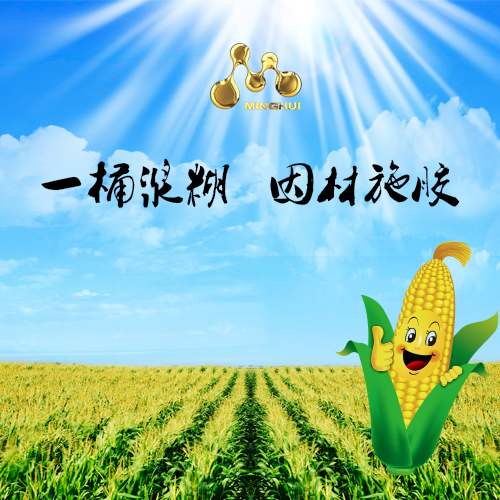 不走尋常路 智能制糊不再是傳說 ——訪上海明輝化工有限公司